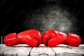Read more about the article Starting Boxing? Your Gloves Matter More Than You Think